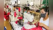 OSCE: participación en compras públicas de empresas lideradas por mujeres alcanzó los S/4.452 millones en 2022