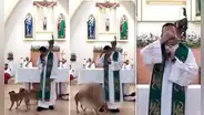 Perros intentan aparearse en medio de una misa y cura reacciona: "No han sido bautizados"