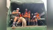 Militares rescatan a "Brenda", una perrita alcanzada por el desborde de río en Lambayeque