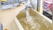 Puno: piden informe de calidad de agua potable en Juliaca