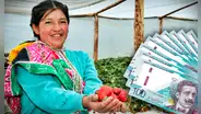 Agro Mujer: ¿cuáles son los requisitos y cómo acceder al crédito para productoras agropecuarias?