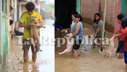 ¡Ni los animales se salvan! Perros y chanchitos son retirados del agua tras desborde del río La Leche