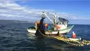 Proponen que trabajadores del sector pesca accedan a una jubilación anticipada