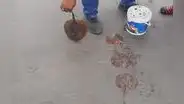 Hallan gran cantidad de peces raya muertos en playa El Dorado de Chimbote