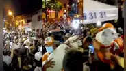 La vez que perro un callejero fue recibido con masiva fiesta por su pueblo tras haber estado perdido