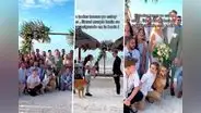 Dueño contó cómo invitaron a su perrito a boda y a él no: "tiene más vida social que yo"