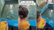 Lleva a su hijo a conocer un acuario y niño tiene curiosa reacción al ver los peces: “Para ceviche”