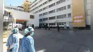 Familia llega hasta hospital y reporta que fue atacada por un gato callejero en Arequipa