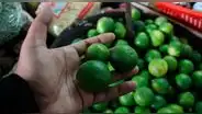 Kilo del limón se triplicó y se vende hasta S/15 en mercados de Tacna