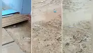 "Lo busca la NASA": peruano usa curioso truco para evitar inundación de su casa por lluvias