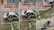 Perrita escapa de casa y regresa en taxi 2 días después: “Ya es independiente”