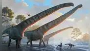 Fósil de dinosaurio con cuello de 15 metros desconcierta a los científicos