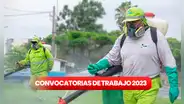 ¿Tienes secundaria incompleta o completa? Muni de Surco ofrece 311 empleos con hasta S/3.500 de sueldo
