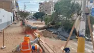 Chiclayo: MPCH continúa con la poda agresiva de árboles de av. Balta pese a informes de Serfor