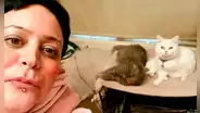 Tras quedarse sin trabajo, mujer asegura comer una vez por semana para poder mantener a sus gatos