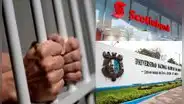 Usó nombre de San Marcos y pidió préstamo de S/90.000 a Scotiabank, ahora irá a la cárcel