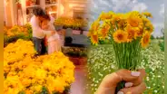 Flores amarillas: ¿por qué se regalan HOY 21 de marzo y qué significan?