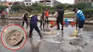 ¿Por qué ante una inundación nunca debes abrir la tapa del desagüe para drenar agua?