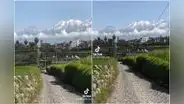 “Solo quiero llorar, es demasiado hermoso”: tiktoker se emociona grabando paisaje arequipeño