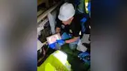 Policía incauta 48 paquetes de droga camuflados en un contenedor en puerto de Paita