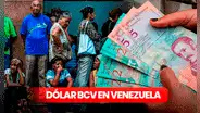 Dólar BCV HOY, miércoles 22 de marzo: ¿cuál es el precio del dólar en Venezuela?