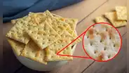 ¿Por qué la mayoría de las galletas tienen pequeños agujeros? Esta es la verdadera razón