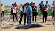 PNP rescata cuerpo de joven que desapareció tras derrumbe de su vivienda en el río Rímac