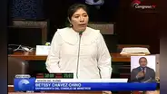 Betssy Chávez arremete antes de votarse su desafuero: "La clase política ha fracasado de todas formas posibles"