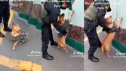 Policía 'detiene' a perrito en la vía pública y su reacción se vuelve viral: "No tengo ni pulgas"