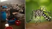¿Cuáles son las enfermedades más comunes durante las lluvias en Perú? Esto dice el Minsa