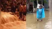Quebradas se activan por lluvias intensas, aíslan a miles de familias y arrasan cultivos en Piura