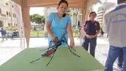 En Lambayeque se registra más de 560 casos de dengue