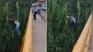 Conductor se lanza a un río para no ser multado por policía y este se tira a perseguirlo