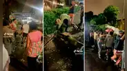 Sanmarquinos hacen yunza con árbol caído en campus universitario: "Es una tradición"