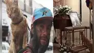 La historia del indigente que quiso a un gatito callejero hasta su muerte: “Amor eterno”