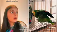 Joven sorprende al 'pelear' con su loro para enviar nota de voz: "¿No me vas a dejar?"