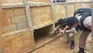 Mujer es rescatada con vida tras ser sepultada por narcotraficantes en cementerio