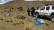 Rayo mata a poblador y sus 4 mulas cuando regresaba a su casa en Huánuco