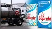 Gloria y el último paso para concretar compra de Soprole, marca líder del mercado lácteo chileno