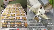 Niña se hace viral por cumplir su sueño: alimentar a decenas de perritos callejeros