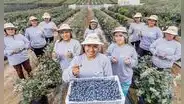 Congreso impulsa ley que modifica régimen agrario
