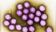 Misteriosa hepatitis grave en niños es vinculada a infecciones por virus comunes