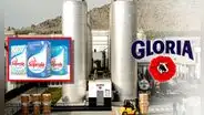 Gloria concreta exitosa compra de Soprole y toma control de la marca líder del mercado lácteo en Chile