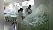 Fallecidos y aumento de casos de dengue en Piura y Lambayeque