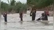 Personas arriesgan su vida cargando cajas de cerveza en río de Piura: “Existen prioridades”