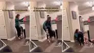 “Qué hermoso”: perrito ayuda a joven que sufre de taquicardia y es elogiado por muchos en TikTok