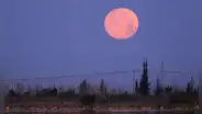 Luna llena de abril 2023: cuándo y cómo ver la luna rosa