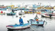 Se abre paso actualización de la Ley General de Pesca