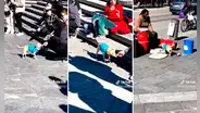 Trabajo en equipo: músico callejero canta y su perrito cobra las propinas que el público le regala
