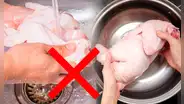 ¿Por qué no deberías lavar el pollo antes de cocinarlo?